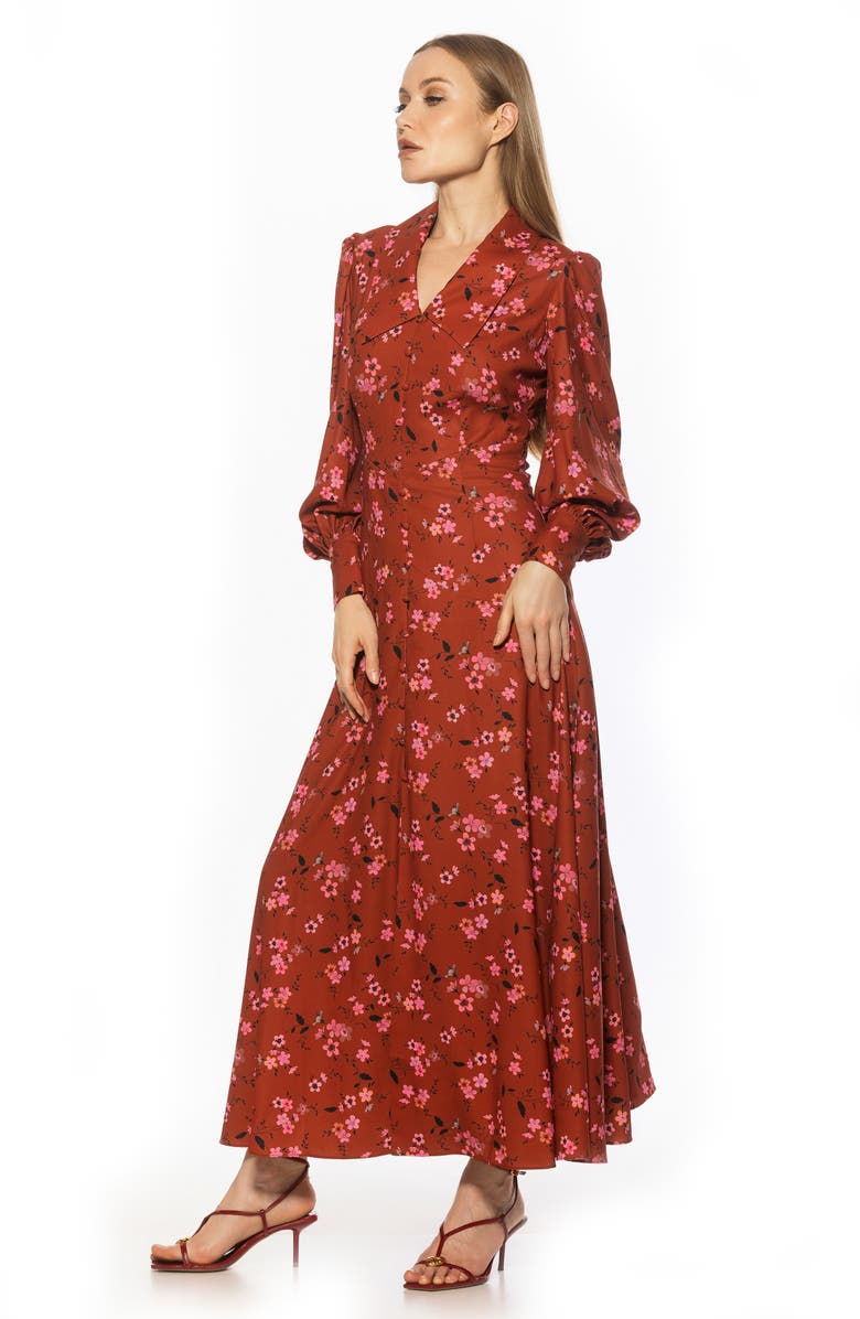 Alexia Admor Kate Collared Long Sleeve Maxi Dress