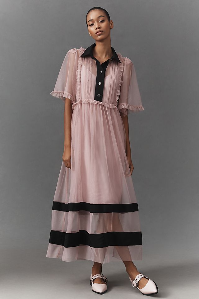 Anthropologie By Anthropologie Sheer Maxi Dress