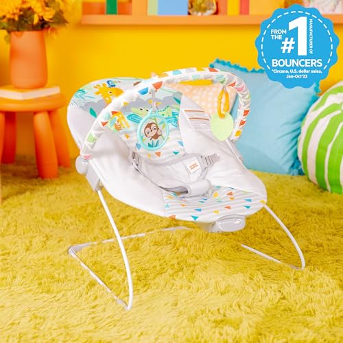 Amazon Bright Starts Baby Bouncer Soothing Vibrations Infant Seat - Removable -Toy Bar, Nonslip Feet, 0-6 Months Up to 20 lbs (Safari Fun)
