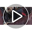 ThisWorx Car Vacuum Cleaner 2.0 - Portable Handheld Mini Vacuum Cleaner W/ 16ft Cord, Bag, & Attachments - Small Vacuum for Car, RV, Boats, Travel - Car Accessories