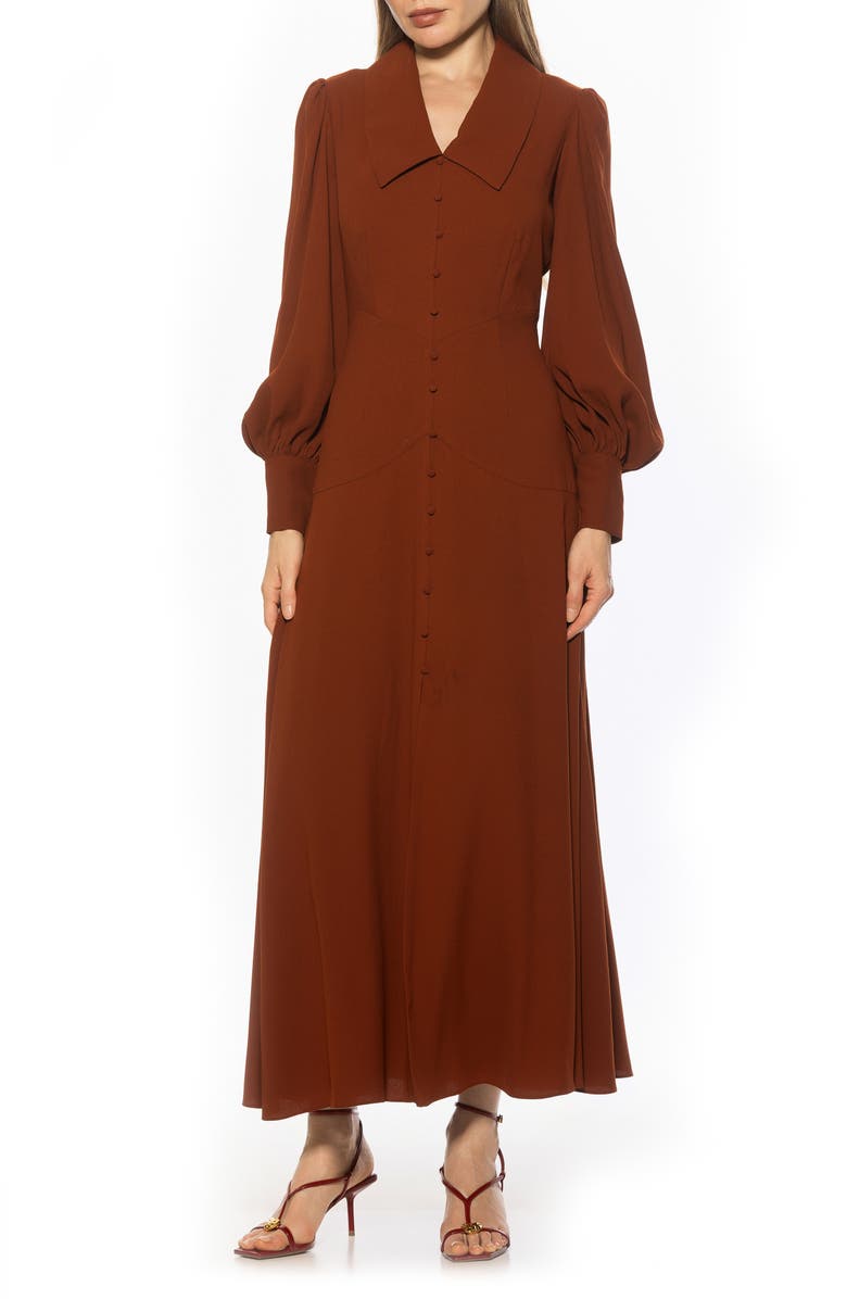 Alexia Admor Kate Collared Long Sleeve Maxi Dress