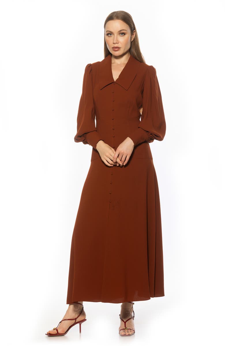 Alexia Admor Kate Collared Long Sleeve Maxi Dress