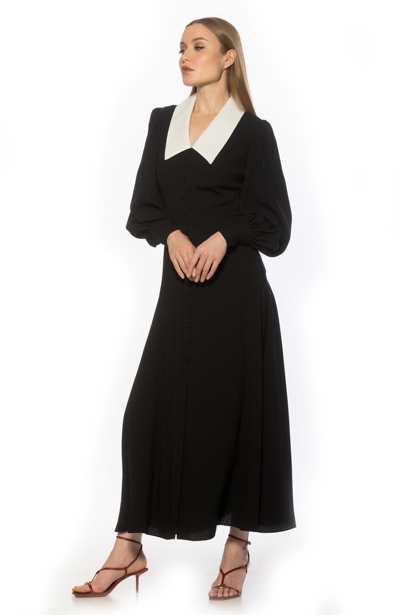 Alexia Admor Kate Collared Long Sleeve Maxi Dress