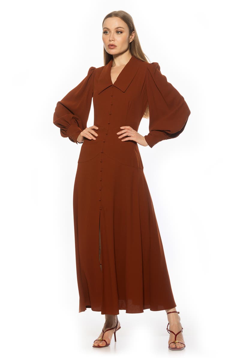 Alexia Admor Kate Collared Long Sleeve Maxi Dress