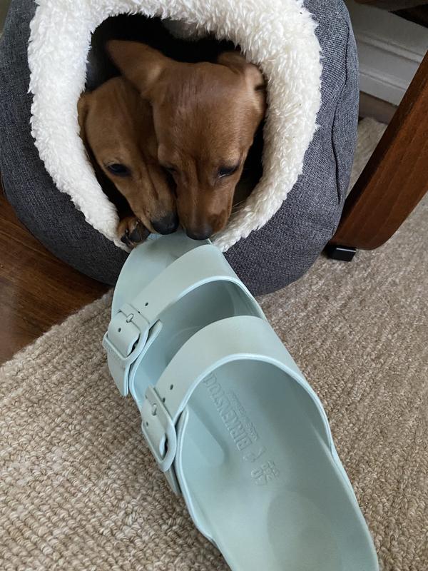 Anthropologie Birkenstock Arizona EVA Sandals