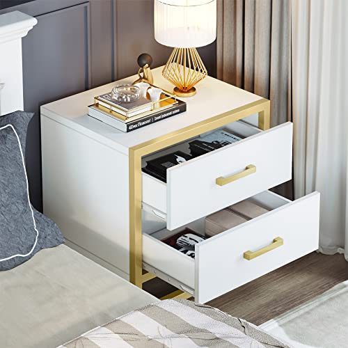 YITAHOME Nightstand with 2 Drawers, Small End Side Table with Storage, Modern Bedside Bed Table with Metal Frame for Small Space, Bedroom and Living Room, White