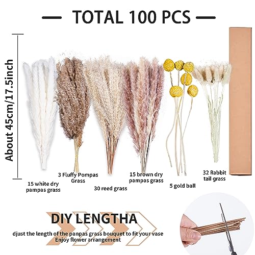 100PCS Natural Dried Pampas Grass Decor - 17.5" Fluffy Pampas Grass Bouquet - Boho Home Decor Dried Flowers for Wedding Floral Room Home Party Table Decorations