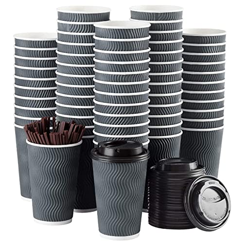 Disposable Paper Coffee Cups with Lids, 90 pack 16 oz Ripple Wall Paper Cups, Corrugated Insulated To Go Cups for Cold Beverage, Recyclable Takeaway Hot Drinking Cups for Home Kitchen Cafe Parties