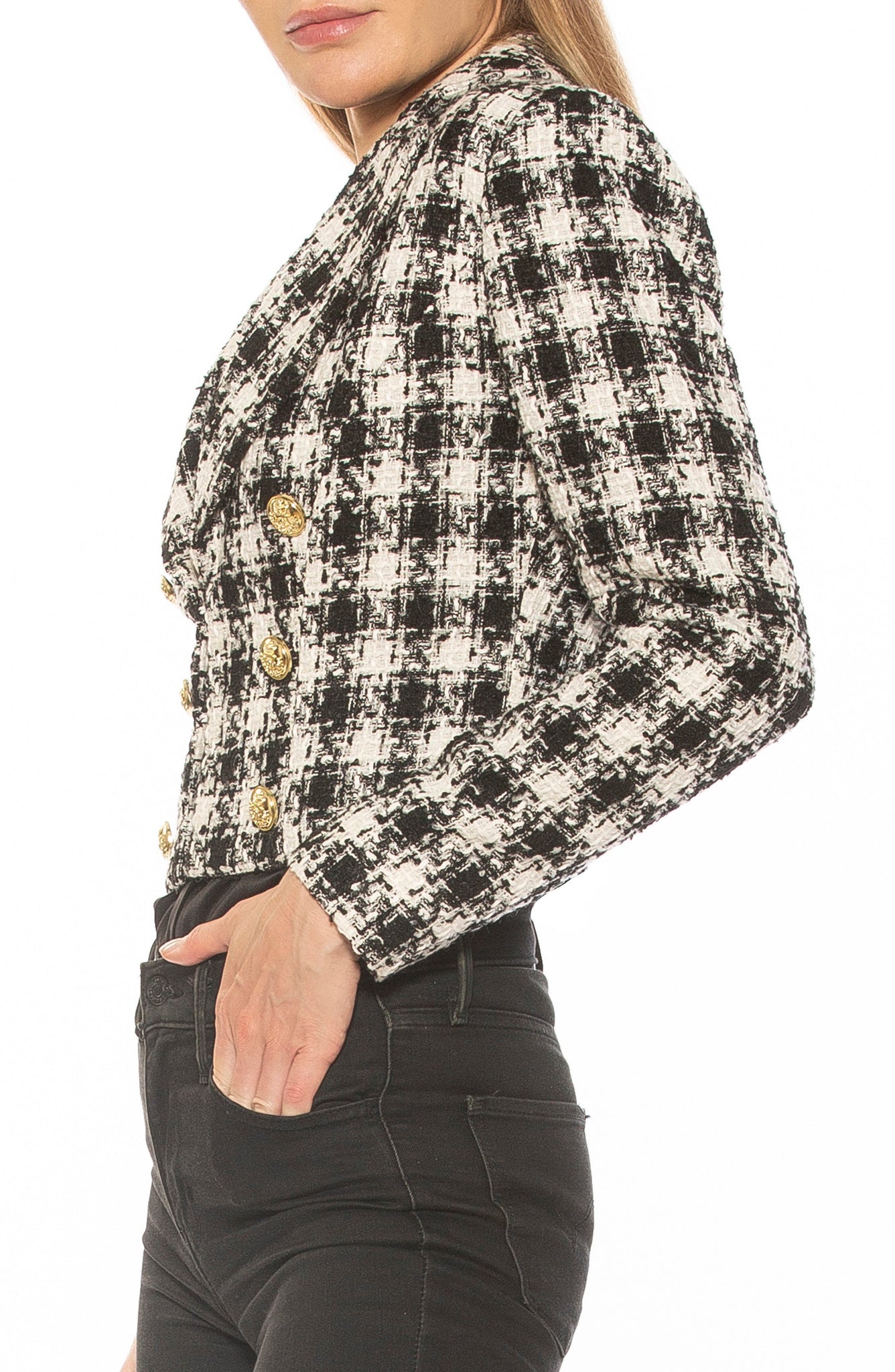 ALEXIA ADMOR Jesse Double Breasted Crop Tweed Blazer, Main, color, BW HOUNDSTOOTH